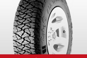 Balanco Neumáticos 2 Balanco Neumáticos