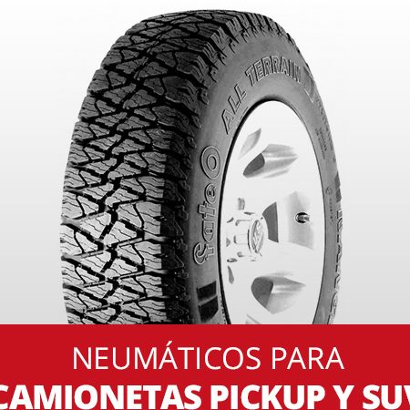 Balanco Neumáticos 1 balanco neumaticos