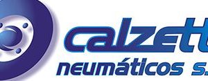 Calzetta Neumáticos S.A. 3 Calzetta Neumáticos S.A.