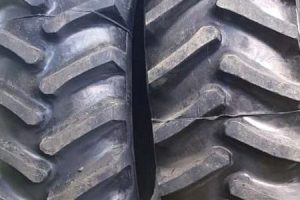 Gomeria 34 4 Gomeria 34