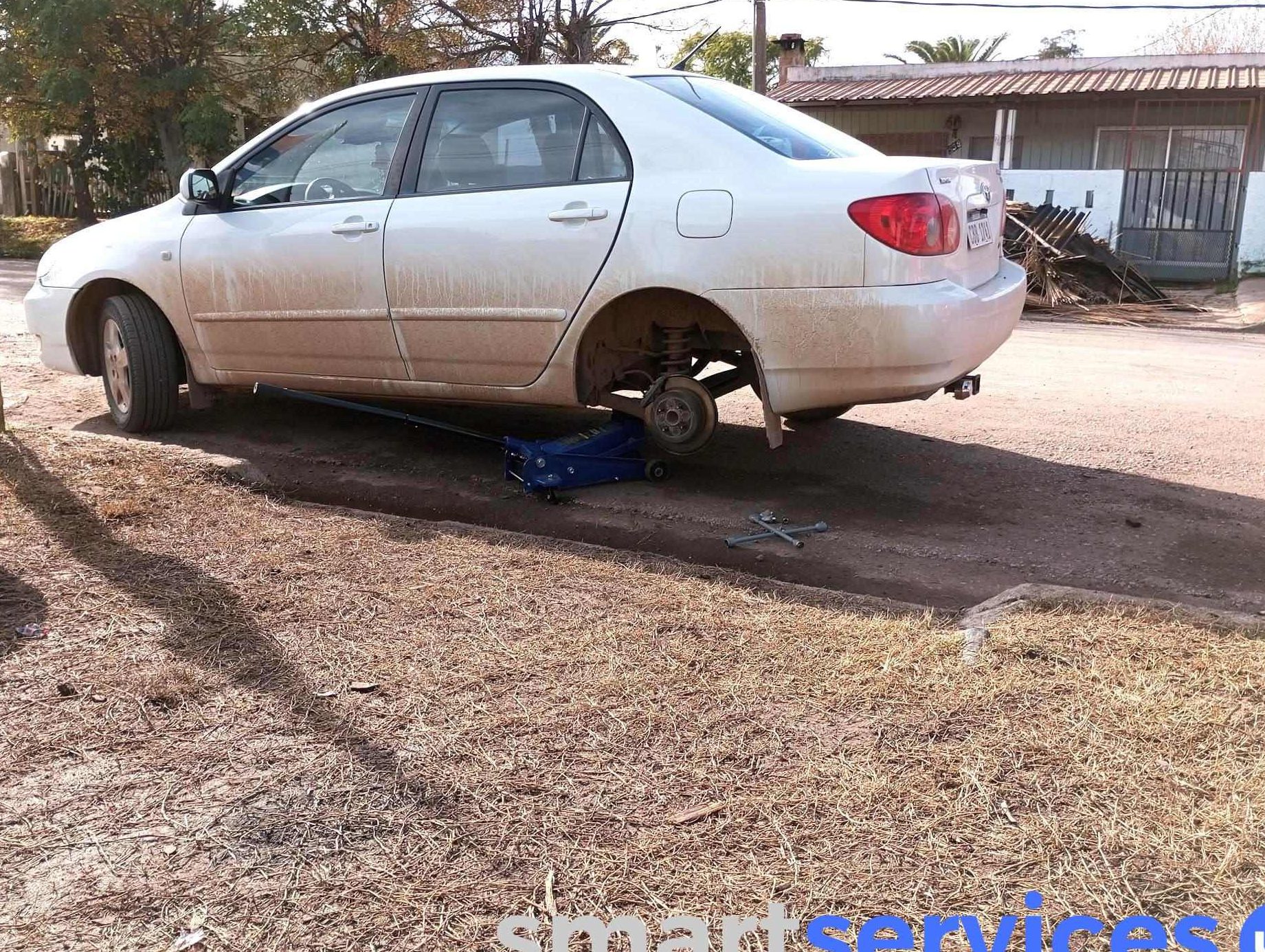 Gomería Alf 1 gomeria alf