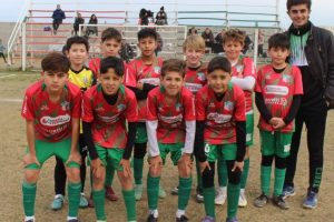 Gomeria benicio 6 Gomeria benicio