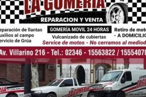 GOMERIA CHECHO 2 GOMERIA CHECHO