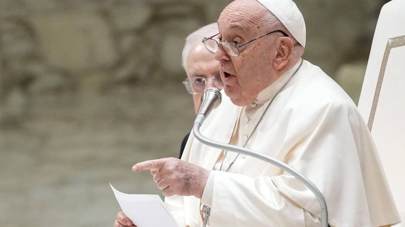 Gomeria COQUINO Papa FCO 1 gomeria coquino papa fco