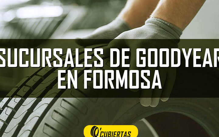 Gomeria Davito 1 gomeria davito 1