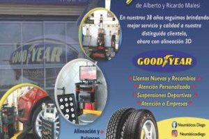 Gomeria Diego 4 Gomeria Diego