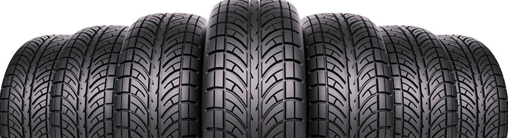 Gomeria El Alamo 1 gomeria el alamo