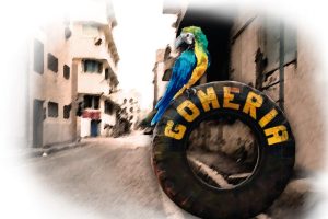 Gomeria el gomero loco 4 Gomeria el gomero loco