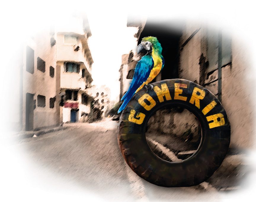 Gomeria el gomero loco 1 gomeria el gomero loco