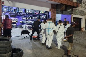 Gomeria " El muelle" 9 Gomeria » El muelle»