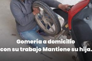 Gomeria El Peludo 2 Gomeria El Peludo