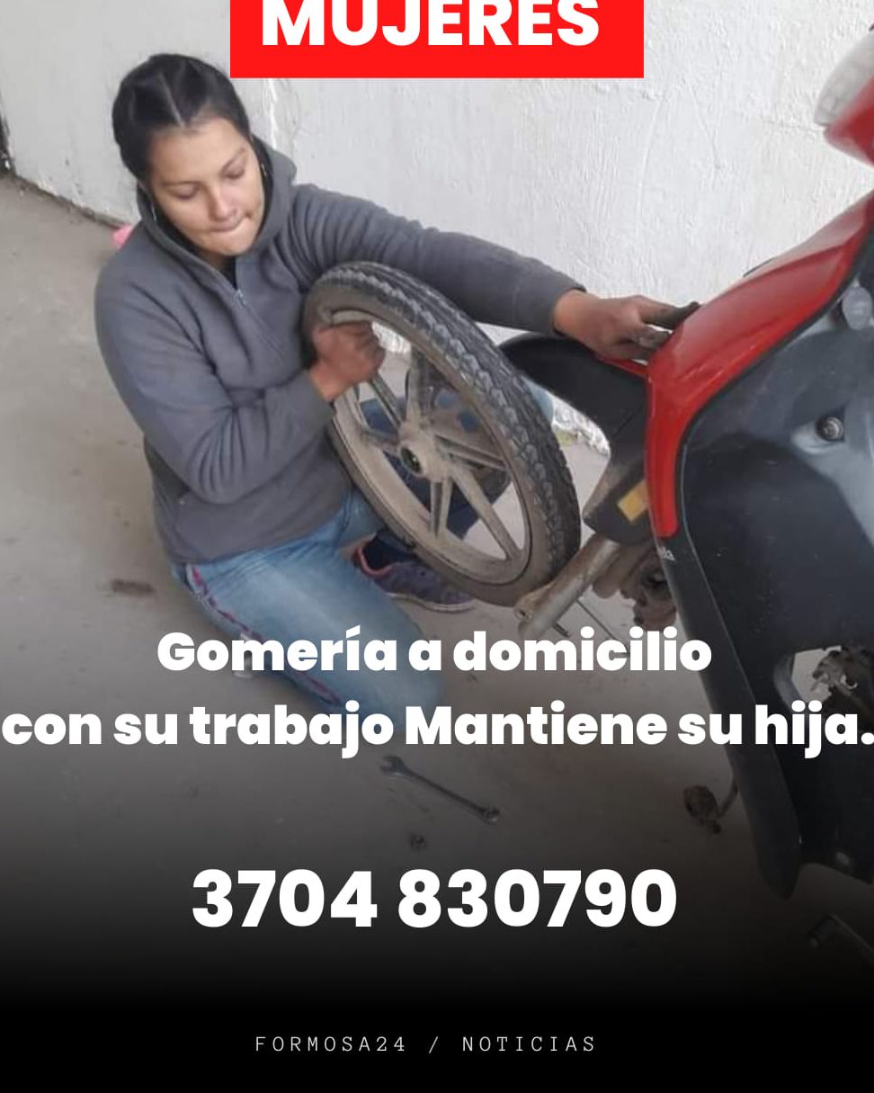 Gomeria El Peludo 1 gomeria el peludo 1