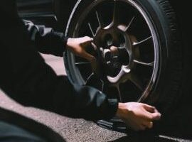 Gomeria Guaraní 5 Gomeria Guaraní