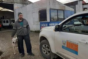 gomeria hdp 1 5 gomeria hdp 1