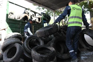 Gomeria J.S 3 Gomeria J.S