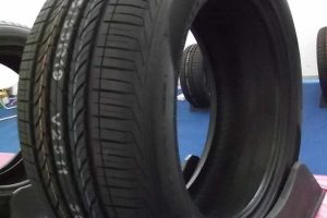 Gomeria koero 6 Gomeria koero