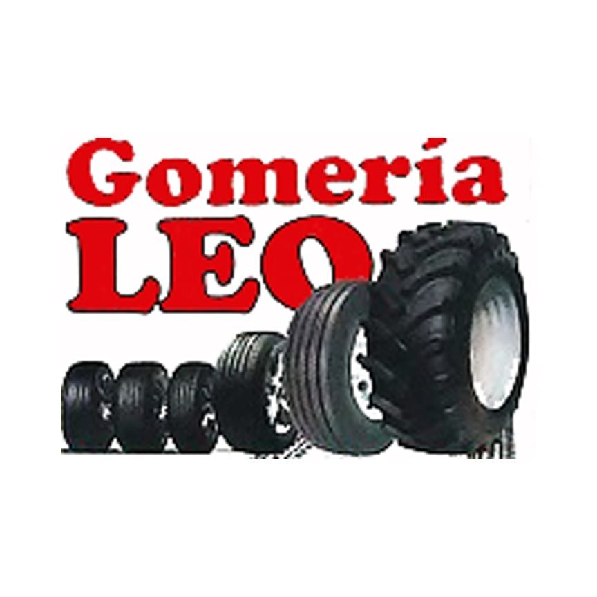Gomeria "Leo" 1 gomeria leo