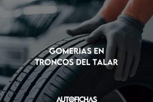 Gomeria los troncos 4 Gomeria los troncos