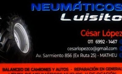 gomeria luisito 1 gomeria luisito