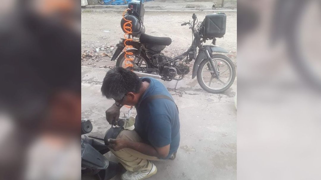 Gomeria Palmieri 1 gomeria palmieri