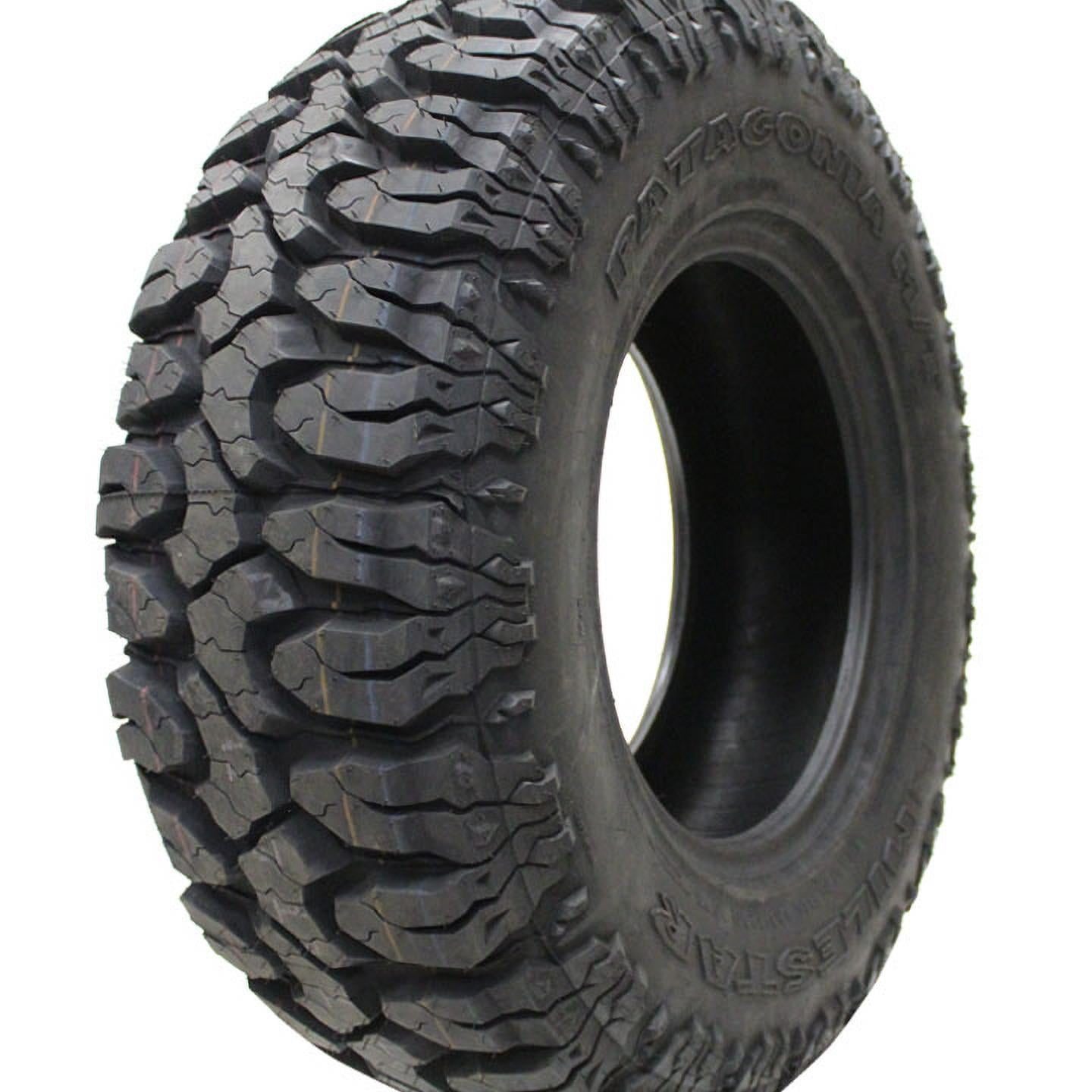 Gomeria patagonia 1 gomeria patagonia