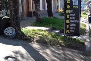 Gomeria Quarleri 4 Gomeria Quarleri