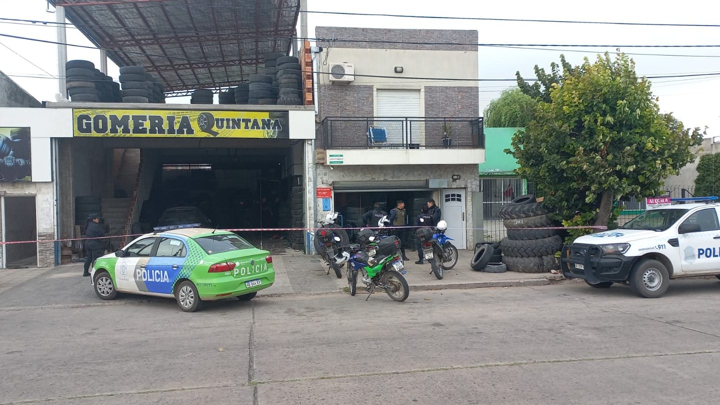 Gomeria quintana 1 gomeria quintana