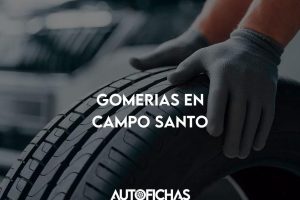 Gomeria santo vega 3 Gomeria santo vega