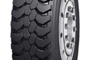 GOMERIA SEBA 7 GOMERIA SEBA