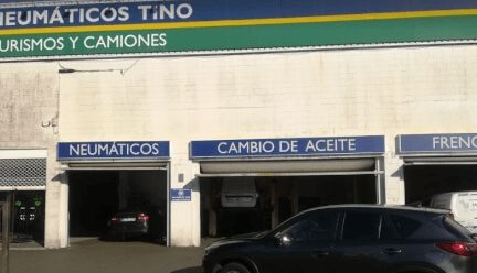 Gomeria TINO 1 gomeria tino