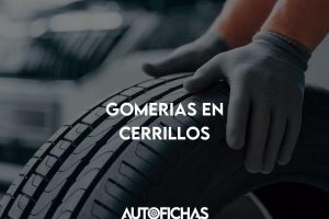 GOMERIA UNGO 7 GOMERIA UNGO