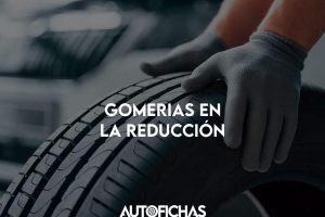 la Gomeria de Chala e hijos 2 la Gomeria de Chala e hijos