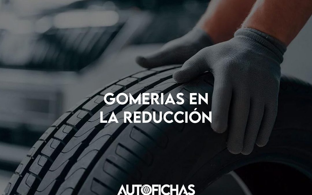 la Gomeria de Chala e hijos 1 la gomeria de chala e hijos