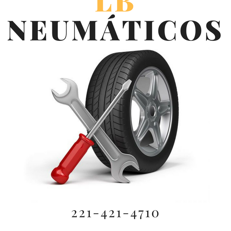 lb neumaticos