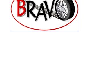 Mecanica y Gomeria Bravo