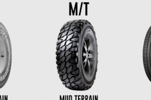 MT Neumáticos 6 MT Neumáticos