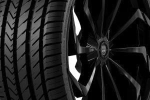 Nematicos El 30 2 Nematicos El 30