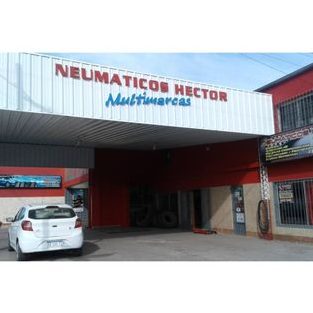 neumaticos hector