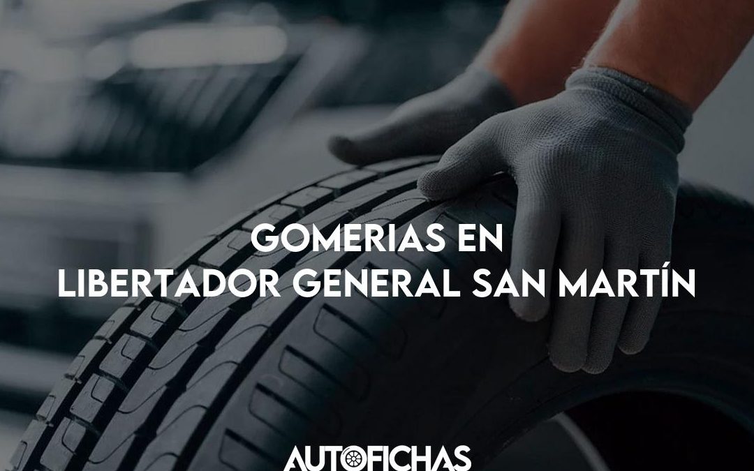 neumaticos jujuy s a sucursal libertador