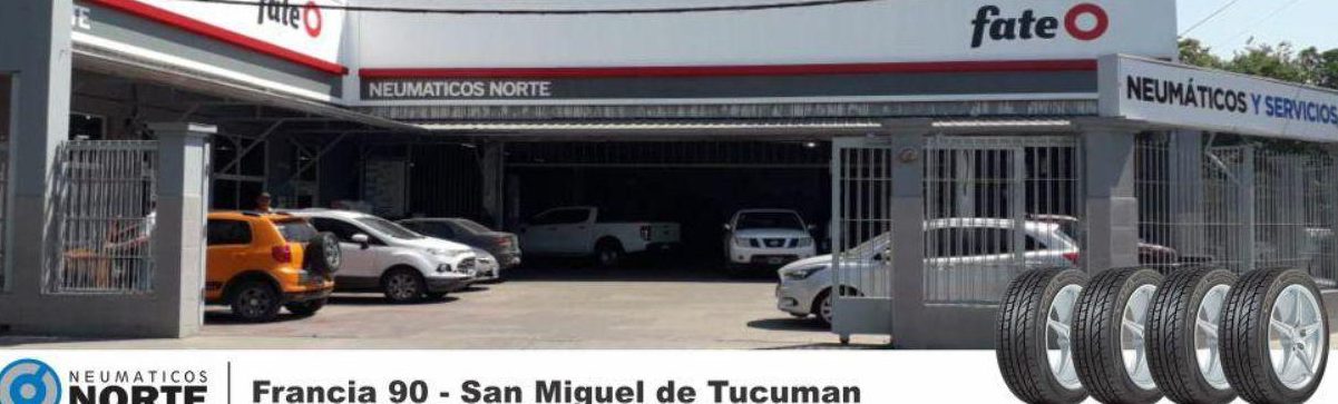 Neumáticos "Norte" 1 neumaticos norte