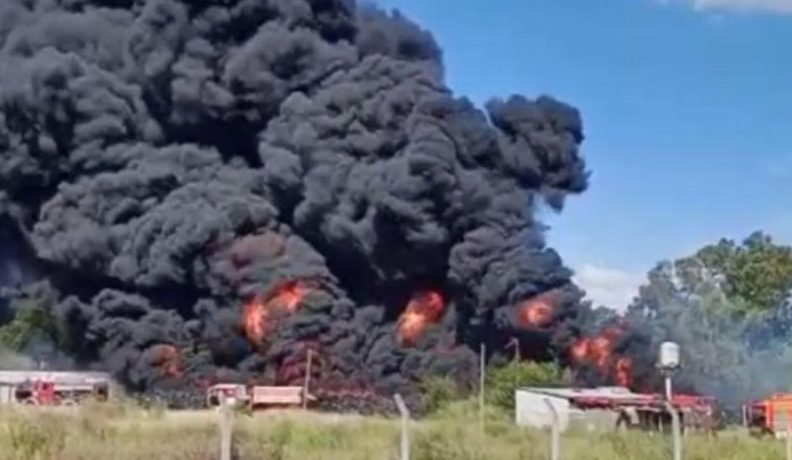 NEUMATICOS OESTE MORENO 1 neumaticos oeste moreno