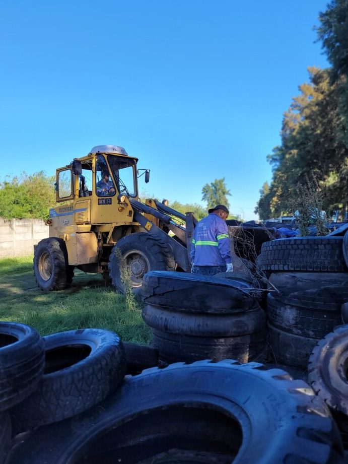 Neumáticos Romang 1 neumaticos romang