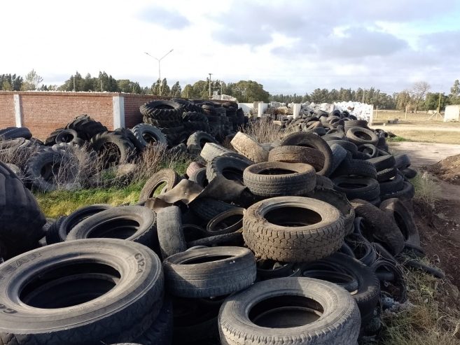 Neumáticos San Cayetano 1 neumaticos san cayetano 1