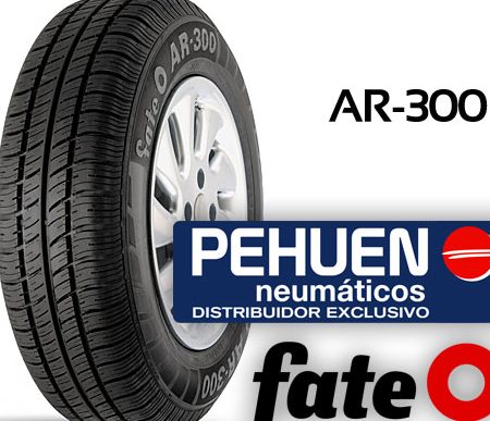 Pehuén Neumáticos 1 pehuen neumaticos