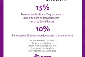 Valle Grande Neumáticos 4 Valle Grande Neumáticos